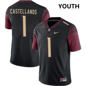 Youth Tommy Castellanos Black Florida State Seminoles #1 College Football Player Jersey 693785-725